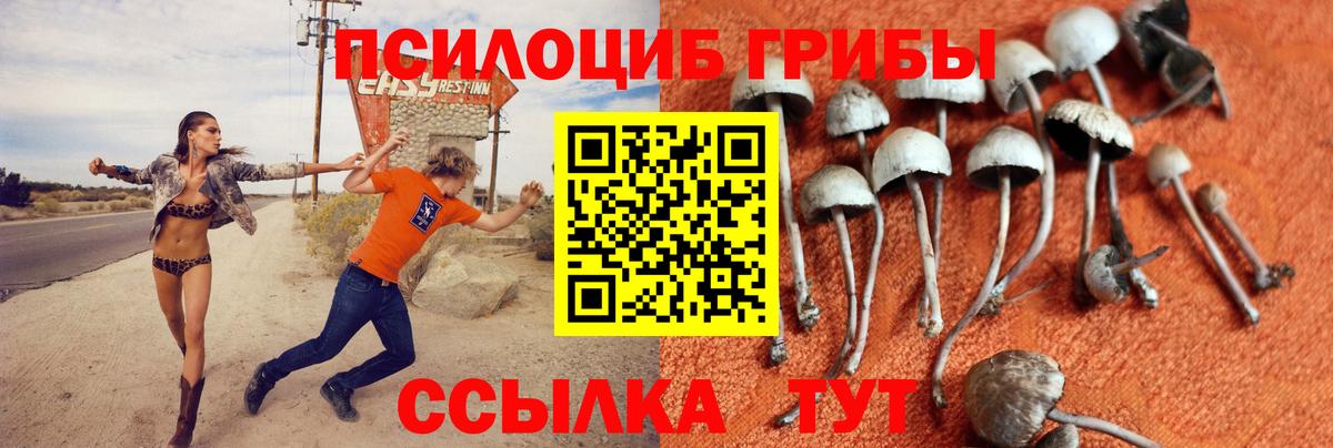 Галлюциногенные грибы мухоморы  Галлюциногенные грибы ЛСД  Вход с VPN  Россошь 